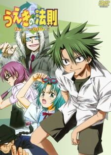 Ueki no Housoku (2005)(TV Series)(Complete)