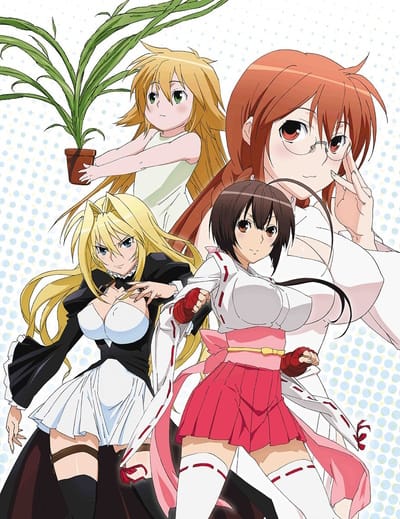 Download Sekirei (2008)(TV Series)(Complete)