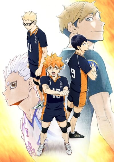 Download Haikyuu!! To the Top (2020)(TV Series)(Complete)