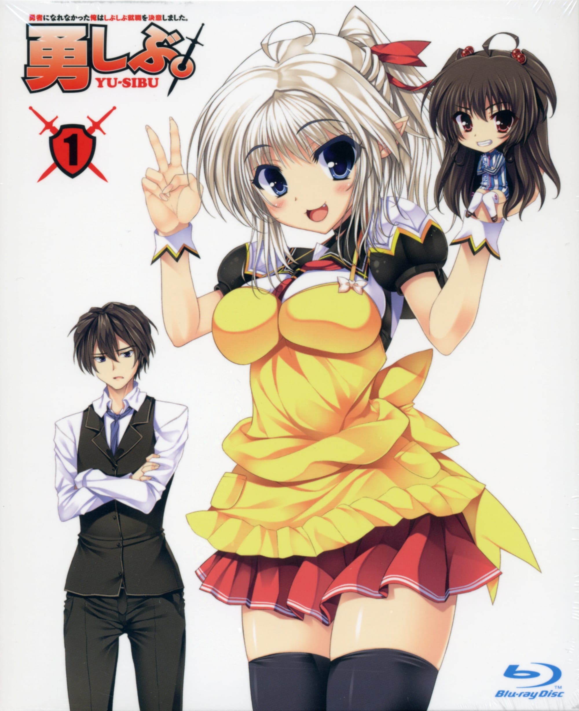 Yuusha ni Narenakatta Ore wa Shibushibu Shuushoku o Ketsui Shimashita. (2013)(TV Series)(Complete)