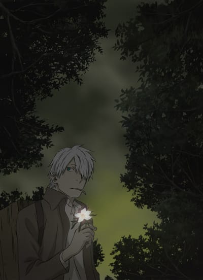 Download Mushishi Tokubetsu Hen: Hihamu Kage (2014)(TV Special)(Complete)