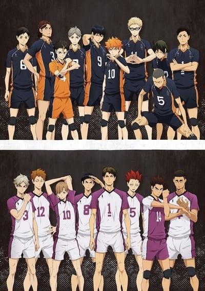 Download Haikyuu!! Karasuno Koukou vs Shiratorizawa Gakuen Koukou (2016)(TV Series)(Complete)