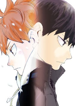 Haikyuu!! To the Top (2020)(2020)(TV Series)(Complete)