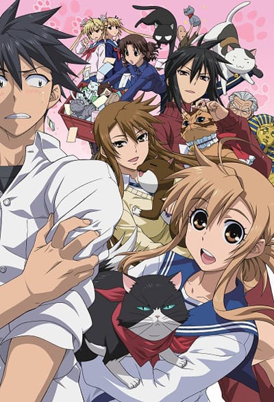 Download Nyan Koi! (2009)(TV Series)(Complete)