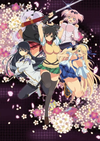 Download Senran Kagura (2013)(TV Series)(Complete)